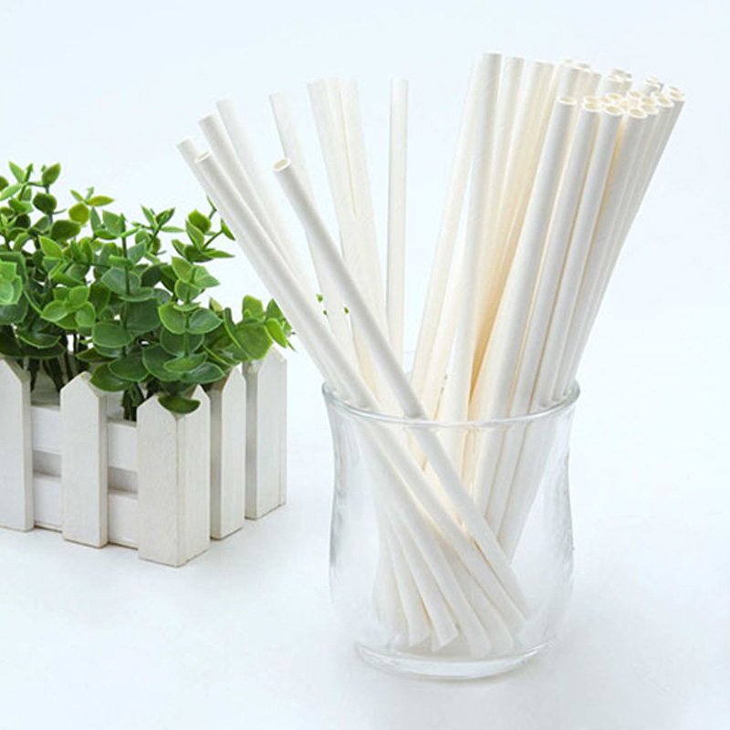 PROMPTU BIODEGRADable PAUS